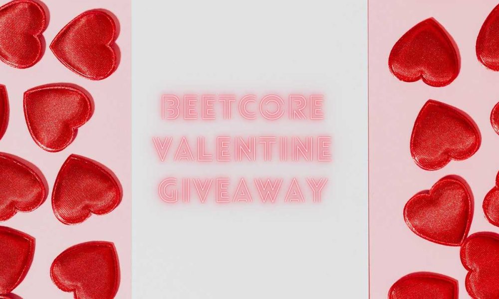 BeeTcore Digital Product Design & Development Agency | Lagos Nigeria | Blog | Valentine Banner