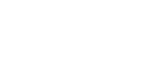 Scion Sparkle Logo White 1 - BeeTcore - Digital Experience Agency